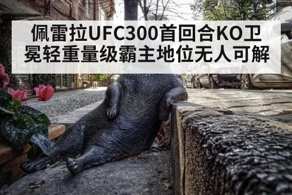 佩雷拉UFC300首回合KO卫冕轻重量级霸主地位无人可解